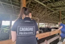 Caoagro e Cidasc identificam irregularidades sanitárias em rebanho