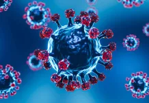Nova subvariante da Covid-19 é identificada no Brasil