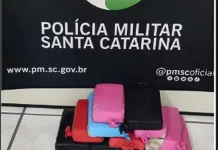 12 kg de crack são apreendidos em Videira 12 kg de crack são apreendidos em Videira