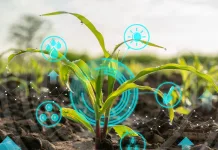 Boletim Agropecuário de janeiro traz dados do setor em SC