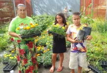 Prefeitura de Lebon Régis distribui mais de 15 mil mudas de flores e árvores