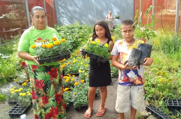 Prefeitura de Lebon Régis distribui mais de 15 mil mudas de flores e árvores