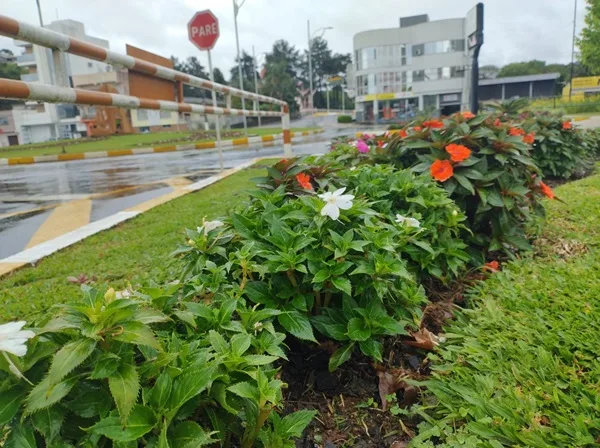 Previsão do Tempo: Santa Catarina permanece com instabilidade