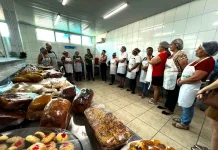 Senar oferece mais de 330 cursos gratuitos