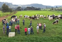 Produtores de leite em Rio das Antas debatem a cadeia produtiva