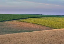 Secretaria da Agricultura e Pecuária (SAR) pede a prorrogação do prazo de georreferenciamento dos imóveis rurais