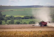 Brasil diminui mais de 52% da área agrícola segurada