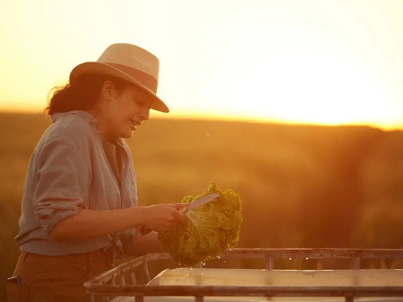 CNA lança programa Agro.BR Mulheres