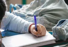 Celular nas escolas é proibido por lei em Santa Catarina