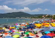 SC cresce quase 17% em arrecadação no mês de janeiro