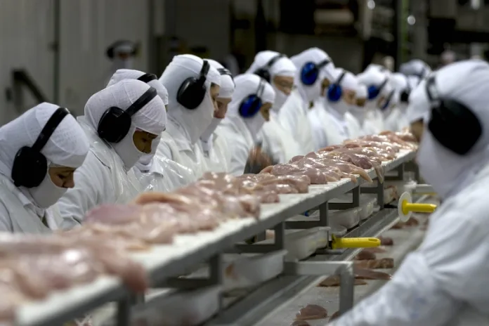 China suspende taxas e impulsiona exportação de frango de SC