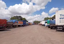 Mobilização de fiscais agropecuários impacta setor privado