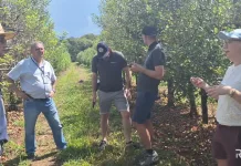 Pesquisadores italianos conhecem o cultivo da maçã na Epagri de Caçador