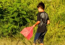 Uso de cerol em pipa é criminalizado pela Câmara dos Deputados