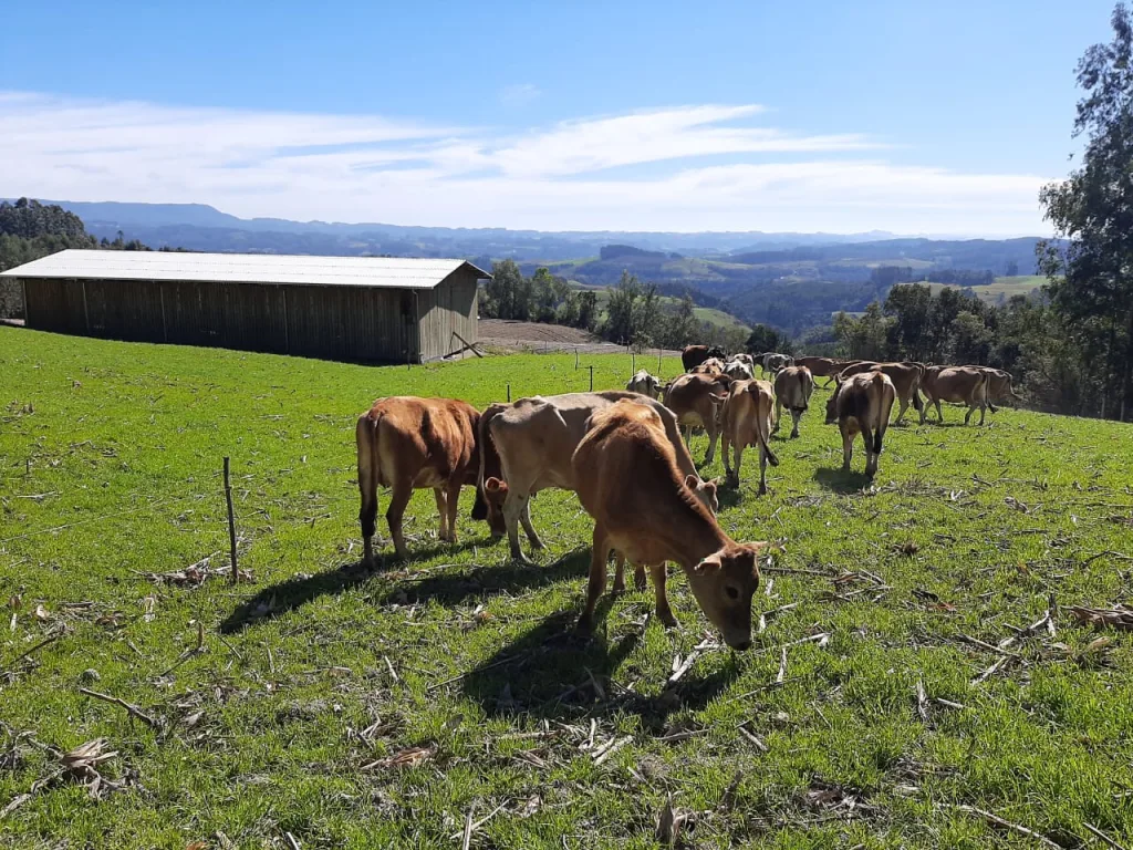 Financiamento e aquisição de imóvel rural é facilitado pelo PNCF