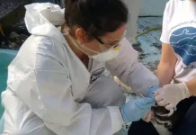 Cidasc abre concurso público com salários superior a R$ 7 mil