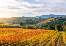 Início do outono traz expectativa de que chuva e frio normalizem