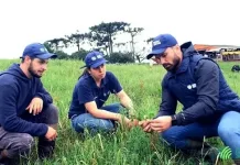 Pecuarista dobra a produção de leite com programa do Senar