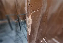 Homem invade vagão do trem para beber e namorar e acaba preso