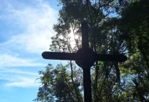 Caminhada ecológica marca comemoração dos 80 anos de Videira