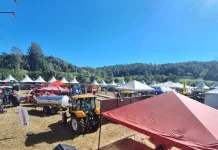 1º Campo Tecnológico da Coopervil reúne 37 expositores