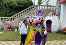 Coelhos da Páscoa estarão no centro neste sábado