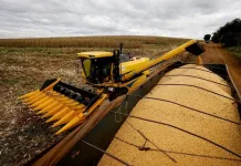 Arrecadação de Santa Catarina alcança R$ 4,4 bilhões em agosto