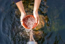 Conheça o processo de captação e tratamento de água em Videira