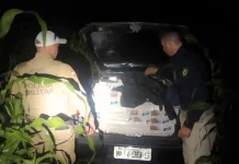 PRF e PMRv apreendem cigarros e veículos na BR-282