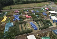 Coopervil promove o 17º Campo Demonstrativo e 7º Clube da Bezerra