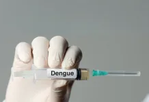 Vacinação pode levar até 8 anos para reduzir transmissão da dengue
