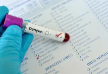 SC registra mais de 360 casos de dengue por dia em 2025