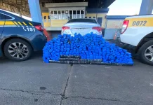 PRF e PMRv apreendem 300 kg de maconha em Água Doce