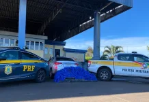 SC gasta mais de R$ 600 milhões no combate ao tráfico de drogas