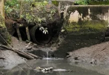 Mais de 70% dos catarinenses não têm acesso à rede de esgoto