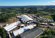 Entrada no Parque das Araucárias para ExpoCaçador é gratuita