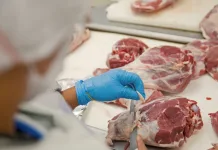 Santa Catarina bate recorde histórico nas exportações de carnes em 2025