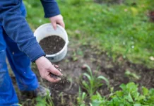 Senado aprova projeto para impulsionar indústria de fertilizantes