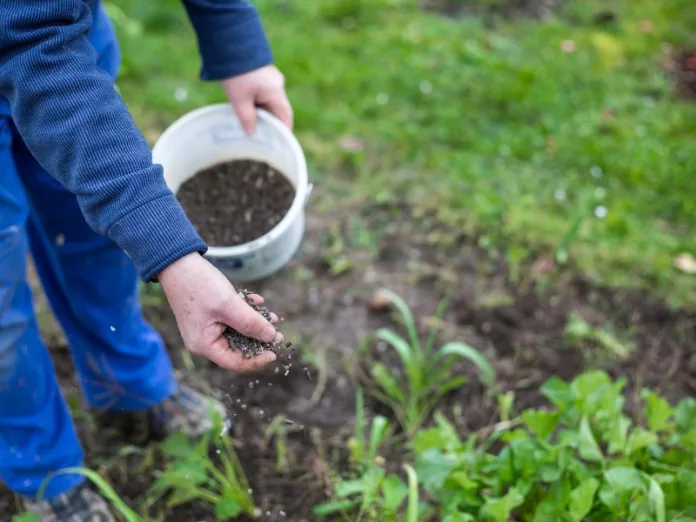 Senado aprova projeto para impulsionar indústria de fertilizantes
