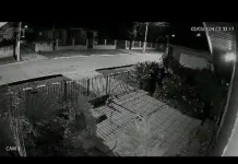 VÍDEO: Ladrão leva portão nas costas em Três Barras