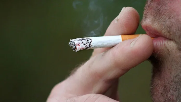 Lei proíbe o uso de cigarro e derivados em parques de SC