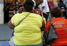 OMS alerta que uma em cada oito pessoas no mundo é obesa
