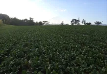 Oficina Nacional de Crédito Fundiário acontece em Treze Tílias