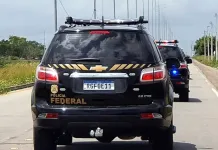 Concurso da Polícia Federal oferece 2 mil vagas em diversas áreas