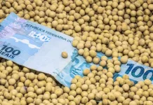 CMN autoriza renegociações de dívidas devido ao clima e preços