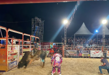 Expo Caçador terá diversão garantida para todos os públicos