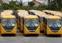 Estado reajusta em 11% o valor do transporte escolar