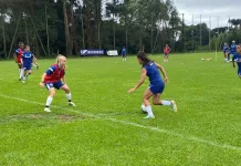 Avaí Kindermann estreia no Brasileiro em casa