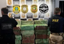 Polícia apreende 1.272 kg de maconha em duas ações conjuntas