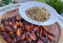 Paçoca de Pinhão : uma boa companhia para os dias frios